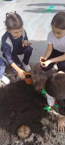 actividades-academicas-2026-1