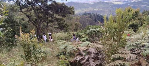 aventura-campesina-2026-12