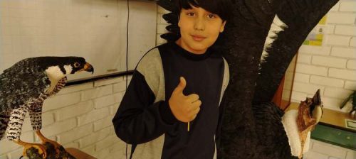 aves-colombia-2026-1