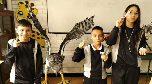 aves-colombia-2026-5