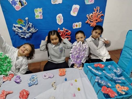 proyecto-paz-2026-1
