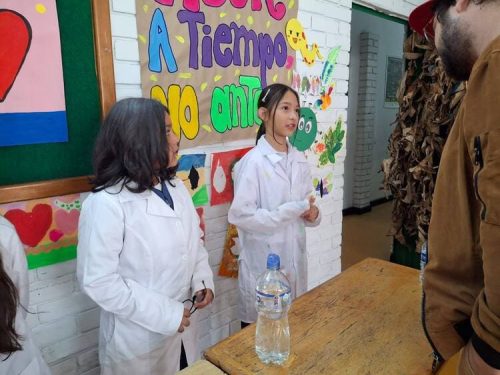 proyecto-paz-2026-16