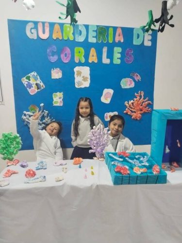 proyecto-paz-2026-4