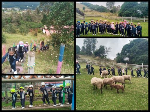 salidas-campo-2026-11