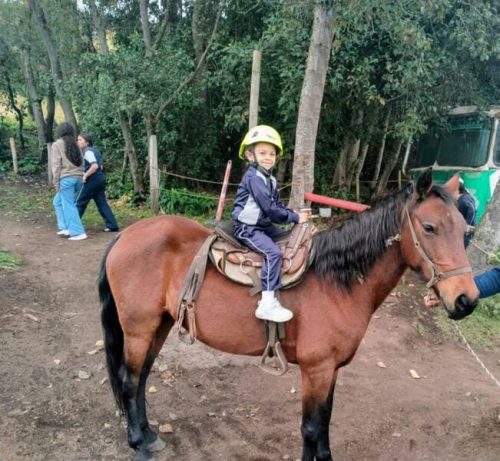 salidas-campo-2026-13