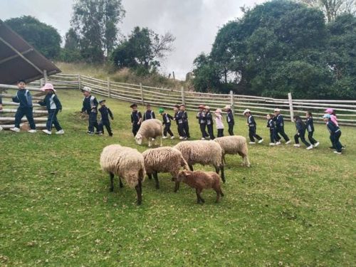 salidas-campo-2026-6
